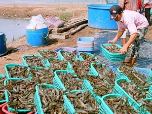 Fisheries sector seeks to net FDI